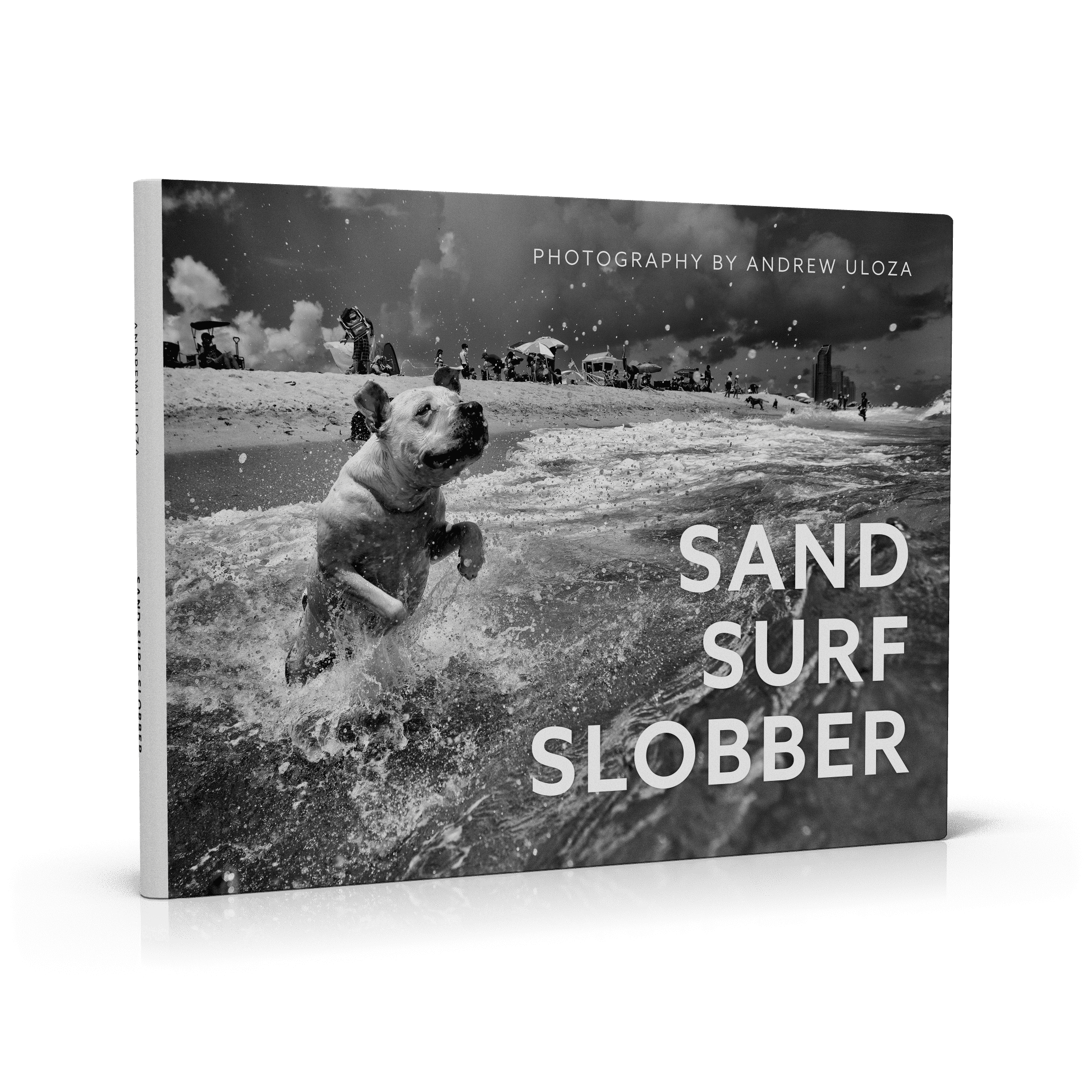 Sand Surf Slobber photography book cover