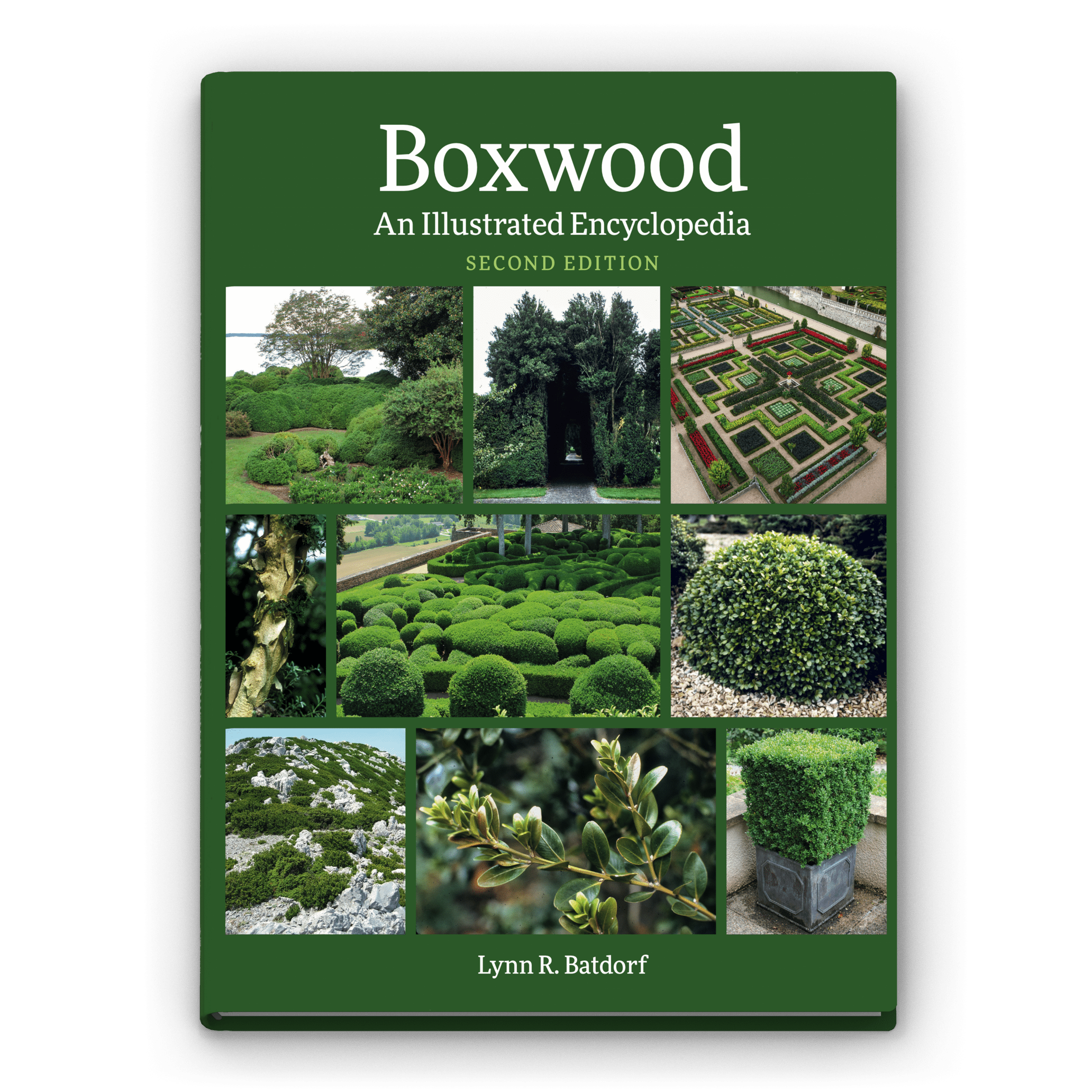 Book cover design, book page design, typesetting, print buying, and publishing services for Boxwood: An Illustrated Encyclopedia by Mayfly book design and publishing services