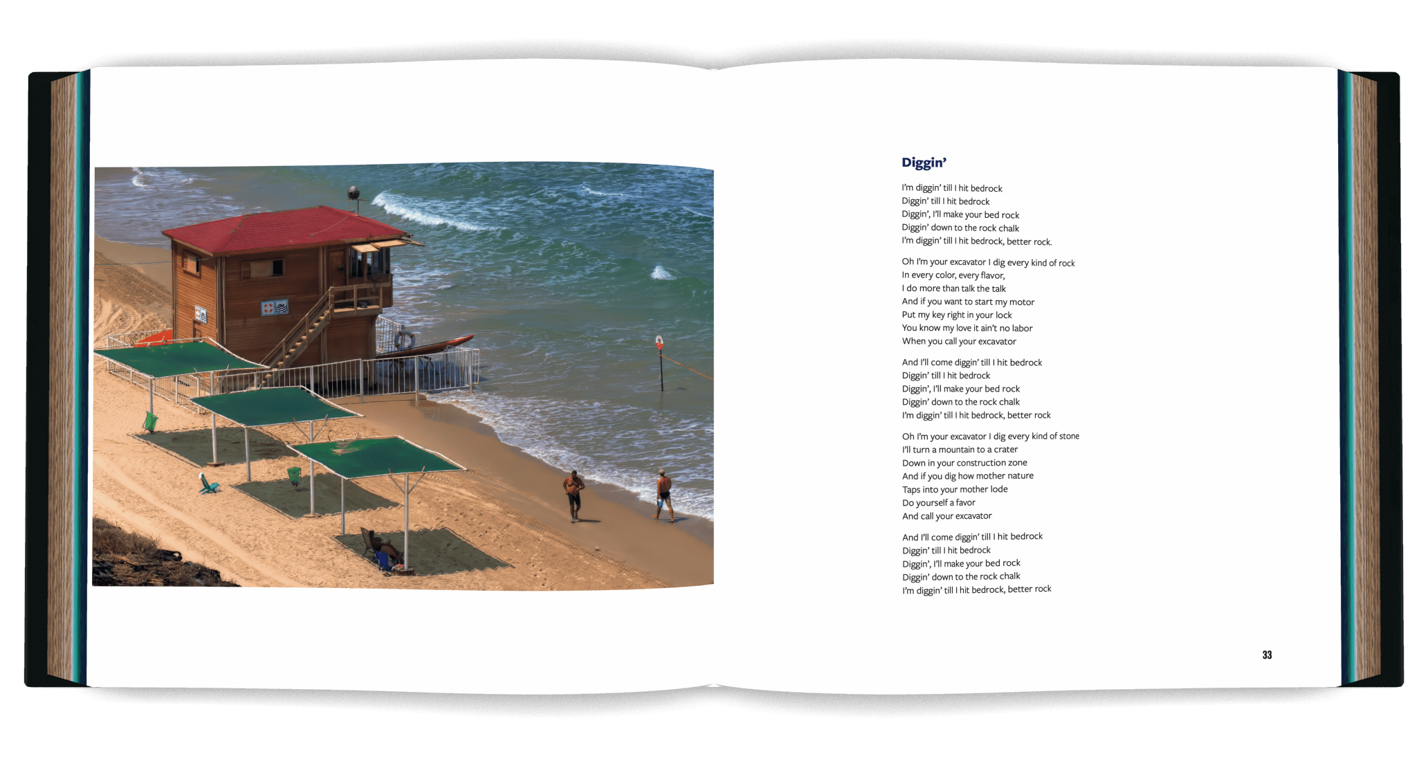Book cover design, book page design, typesetting, print buying, and publishing services for Unassembled Songs by Steve Schuster by Mayfly book design and publishing services