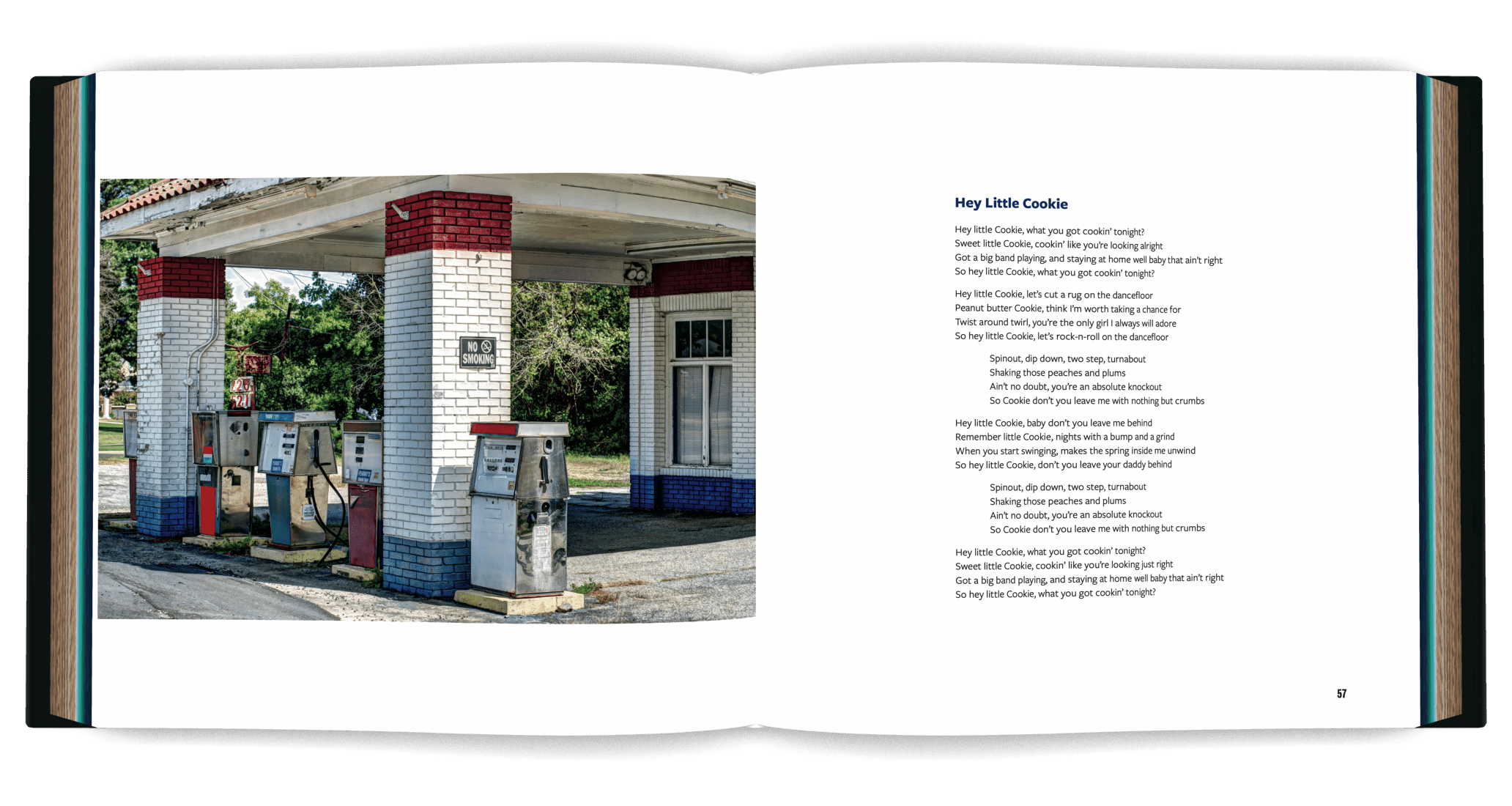 Book cover design, book page design, typesetting, print buying, and publishing services for Unassembled Songs by Steve Schuster by Mayfly book design and publishing services