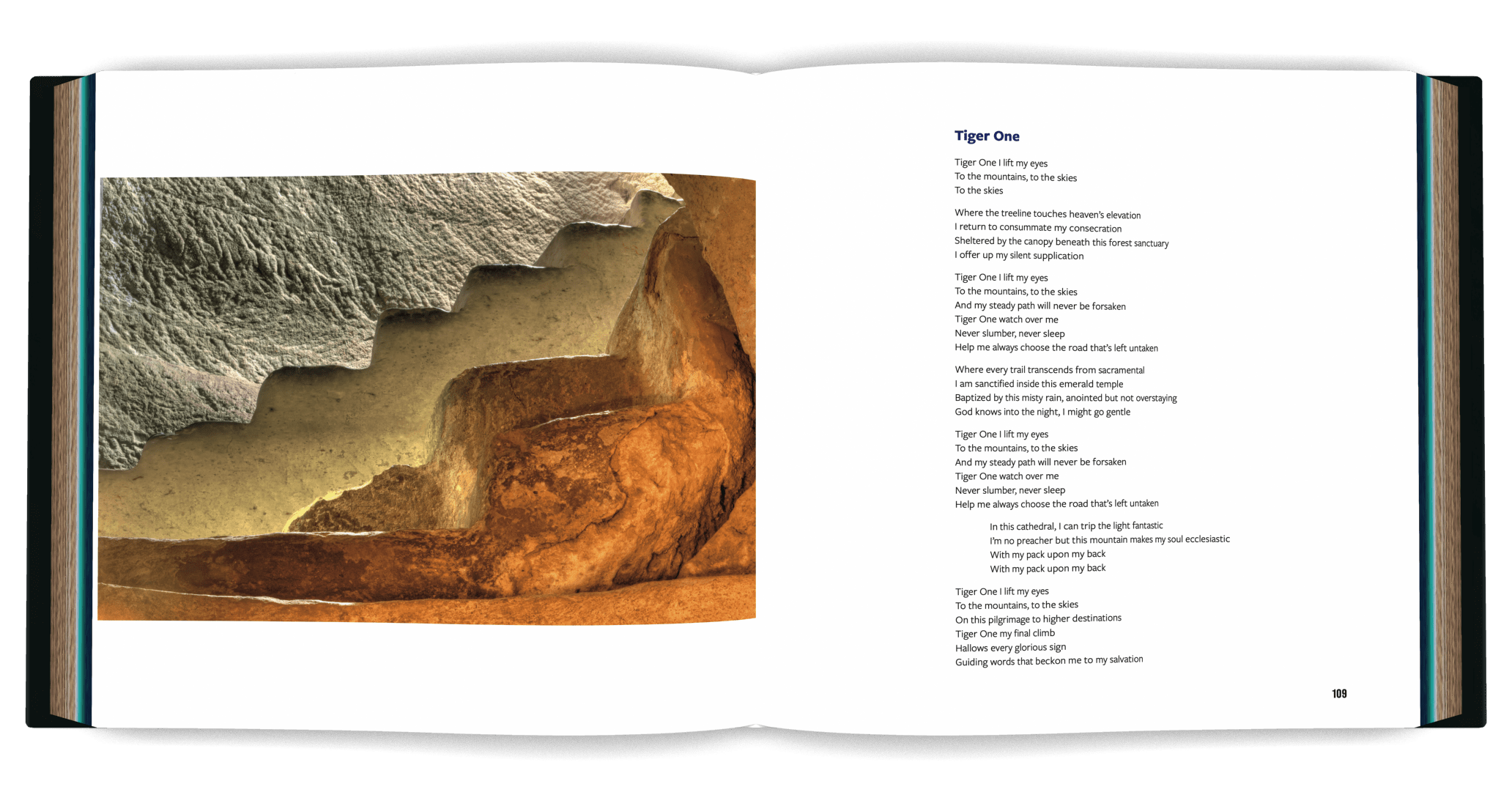 Book cover design, book page design, typesetting, print buying, and publishing services for Unassembled Songs by Steve Schuster by Mayfly book design and publishing services